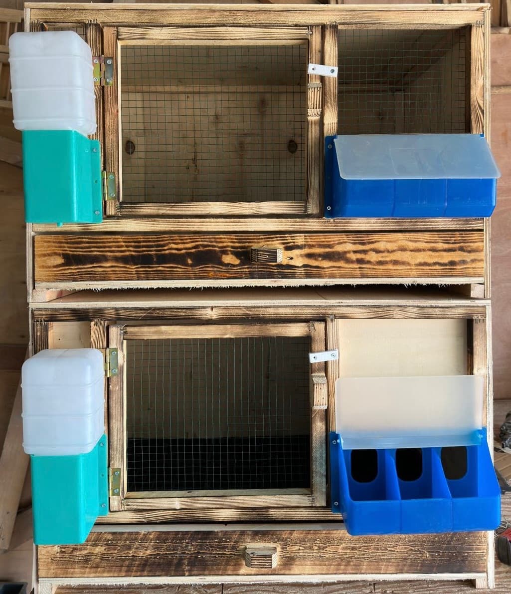 Nadir Kafescilik - Eşane güvercin Görsel 2