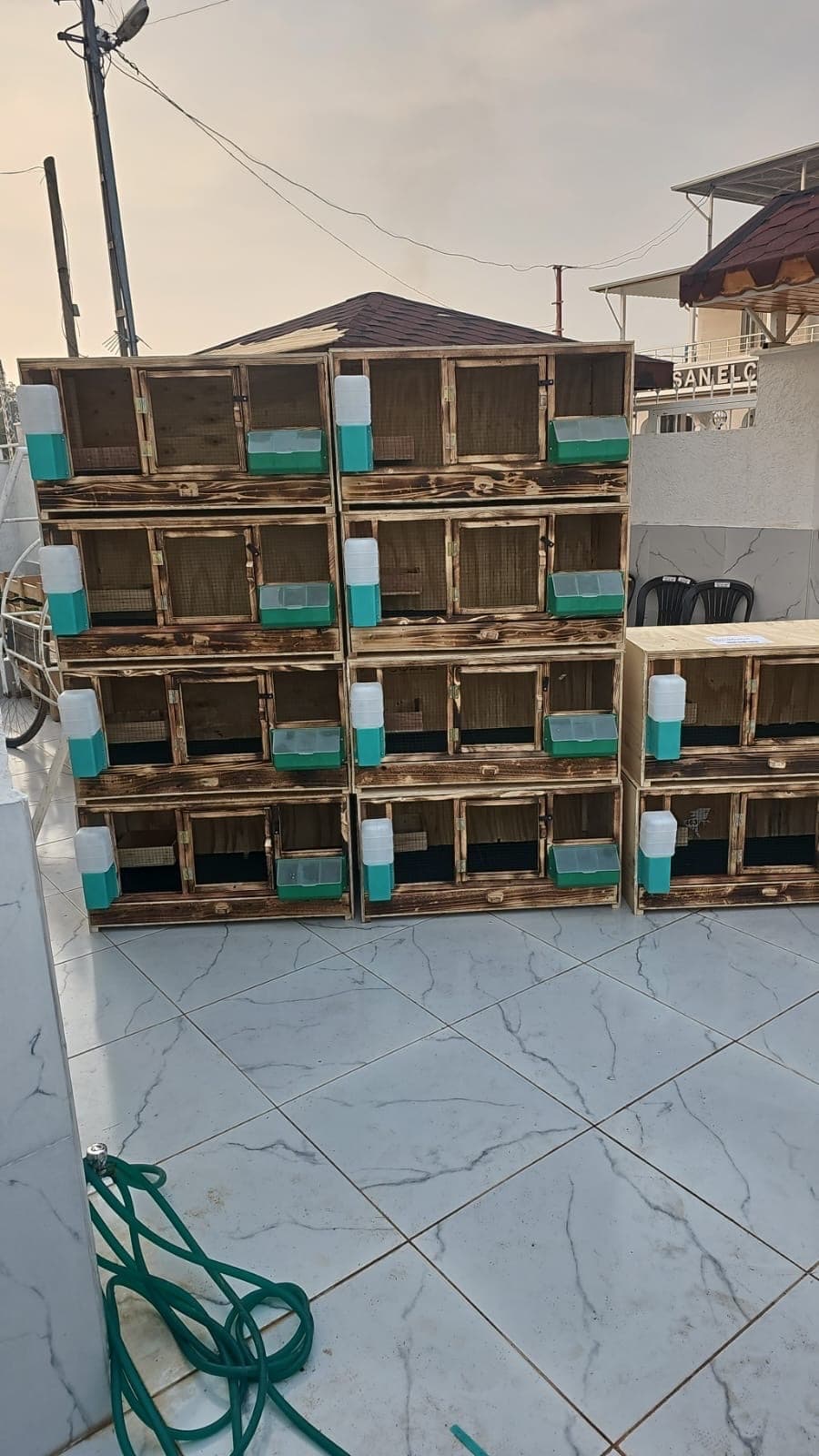 Nadir Kafescilik - Güvercin eşanesi Görsel 2